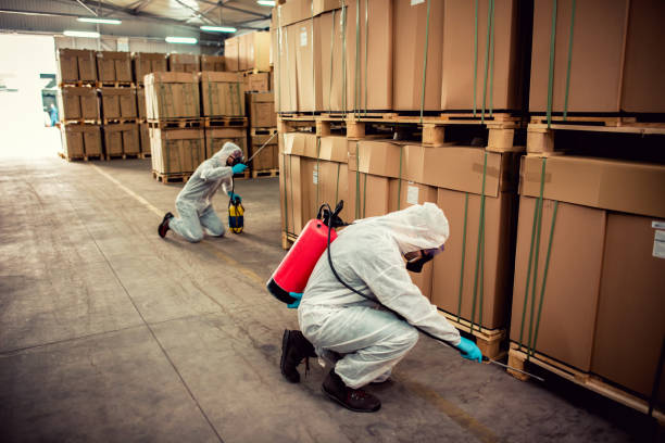 Best Termite Control Services  in Ravenna, OH