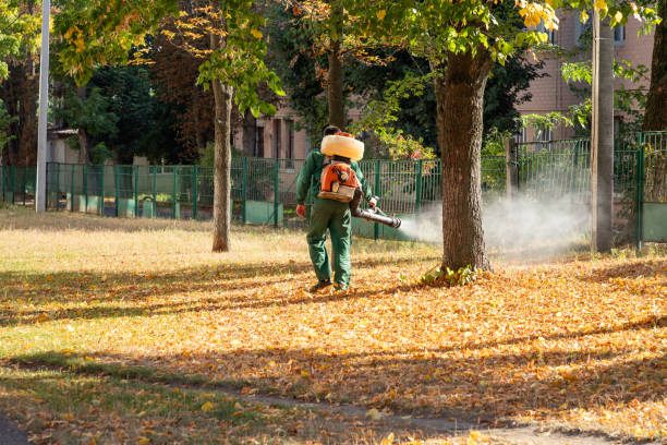 Professional Pest Control in Ravenna, OH